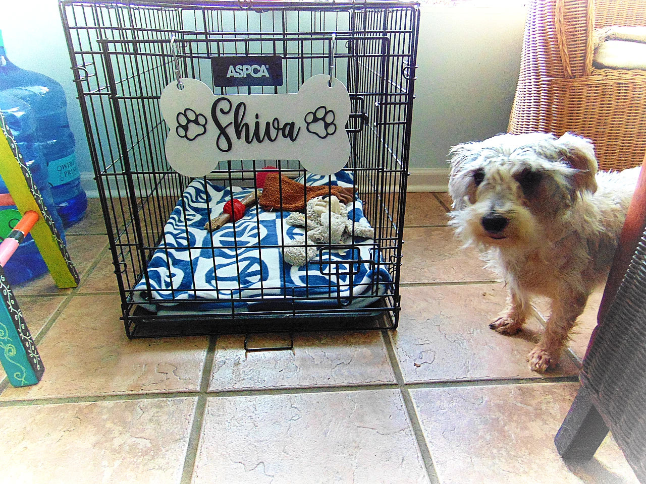 Transform your dog's space into a personalized haven with our charming bone-shaped crate sign! Crafted just for you, each sign is customized with your dog's name in your chosen color and font, ensuring a touch that perfectly matches your pet's personality.