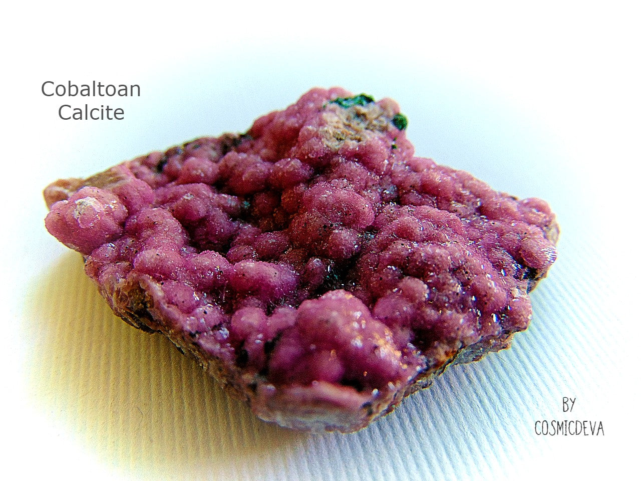 Glistering lustrous rose bubble gum pink color saturated bubbly boitroyal specimen of pink cobaltoan calcite, Cobaltoan Dolomite on matrix. The stunning crystals are small and very sparkly. Great for collectors or jewelry making.