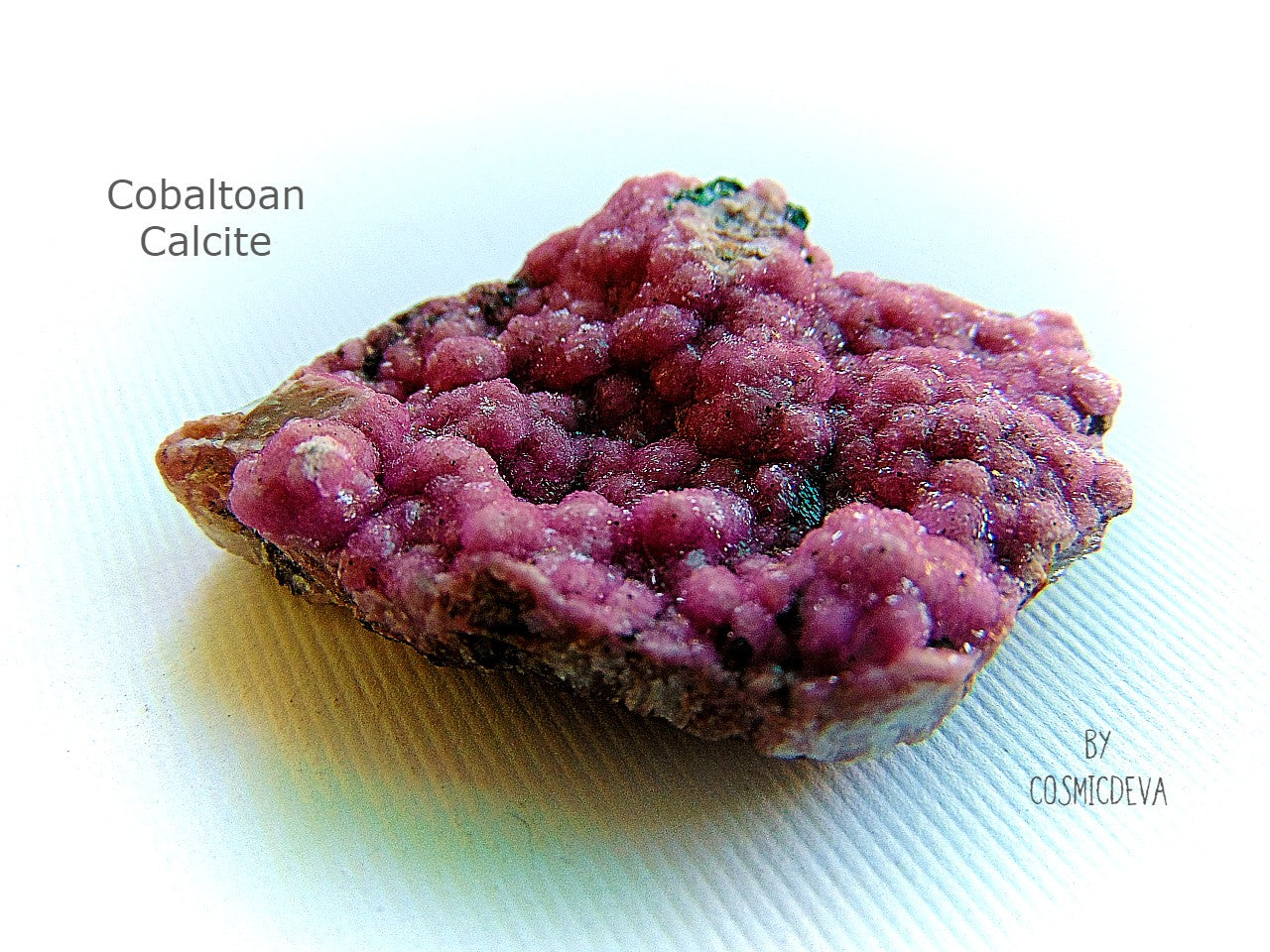 Glistering lustrous rose bubble gum pink color saturated bubbly boitroyal specimen of pink cobaltoan calcite, Cobaltoan Dolomite on matrix. The stunning crystals are small and very sparkly. Great for collectors or jewelry making.
