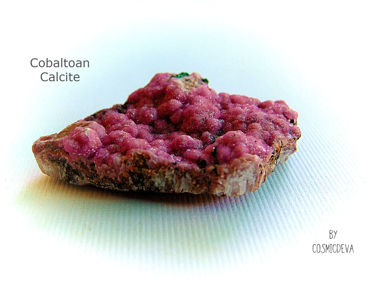 Glistering lustrous rose bubble gum pink color saturated bubbly boitroyal specimen of pink cobaltoan calcite, Cobaltoan Dolomite on matrix. The stunning crystals are small and very sparkly. Great for collectors or jewelry making.